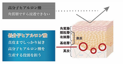 f:id:raido481025:20190122165626p:plain f:id:raido481025:20190122165626p:plain