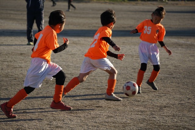 f:id:raihasss:20231210000450j:image