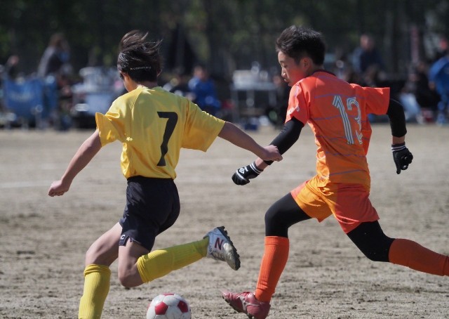 f:id:raihasss:20240225171755j:image f:id:raihasss:20240225171755j:image