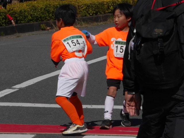 f:id:raihasss:20240310195031j:image f:id:raihasss:20240310195031j:image