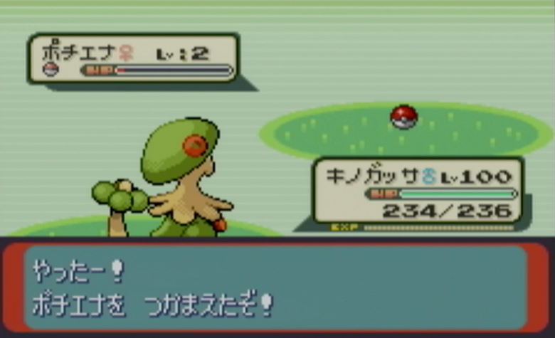 ポチエナ捕獲