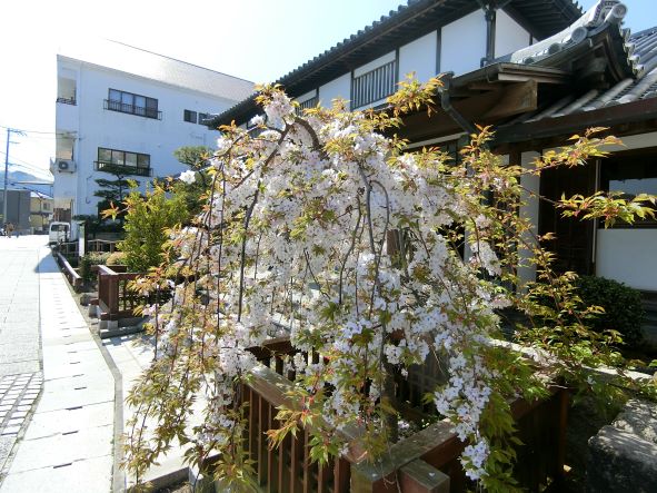 f:id:rail-miler:20220413074011j:plain