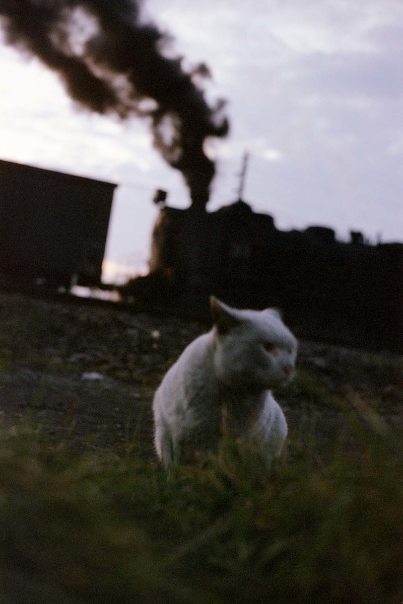 f:id:railway-photo:20200412080044j:plain f:id:railway-photo:20200412080044j:plain