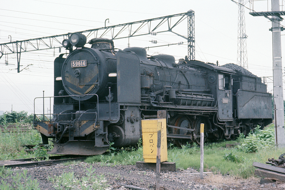 59614 - ただいま鉄道写真スキャン中
