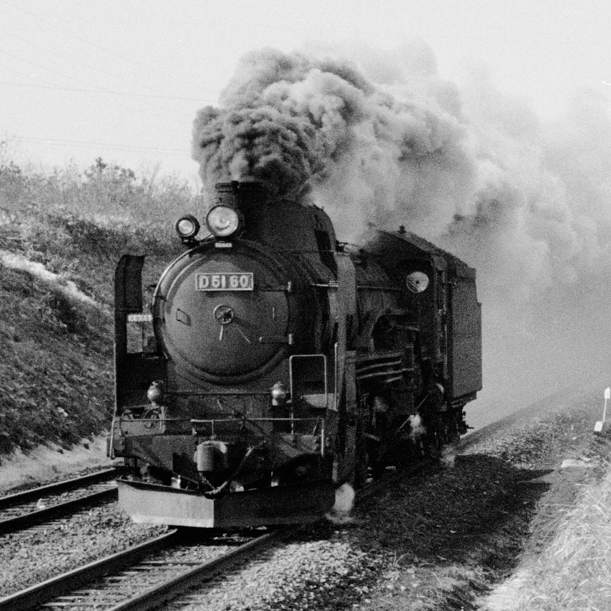 D51 60 - ただいま鉄道写真スキャン中