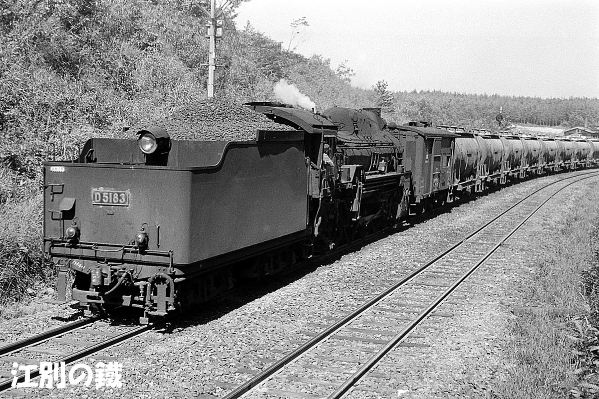 日本車輌 限定D-51 D51 83 - ただいま鉄道写真スキャン中
