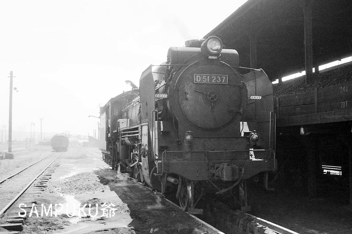 D51 237 - ただいま鉄道写真スキャン中