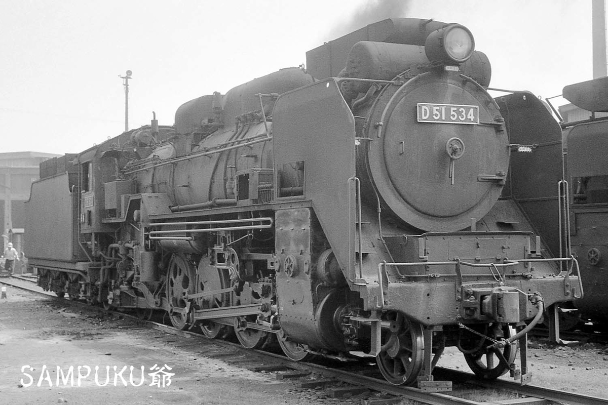 D51 534 - ただいま鉄道写真スキャン中