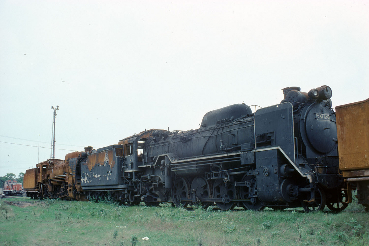 D51 603 - ただいま鉄道写真スキャン中