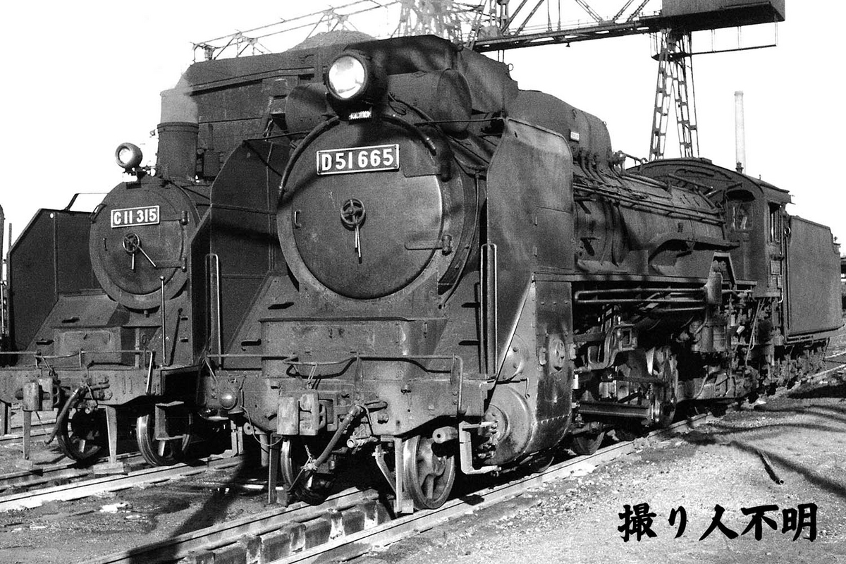レトロ蒸気機関車　白黒写真　まとめ売り　D51/C11等　当時物　鉄道写真　青 D51 665 と C11 315 - ただいま鉄道写真スキャン中
