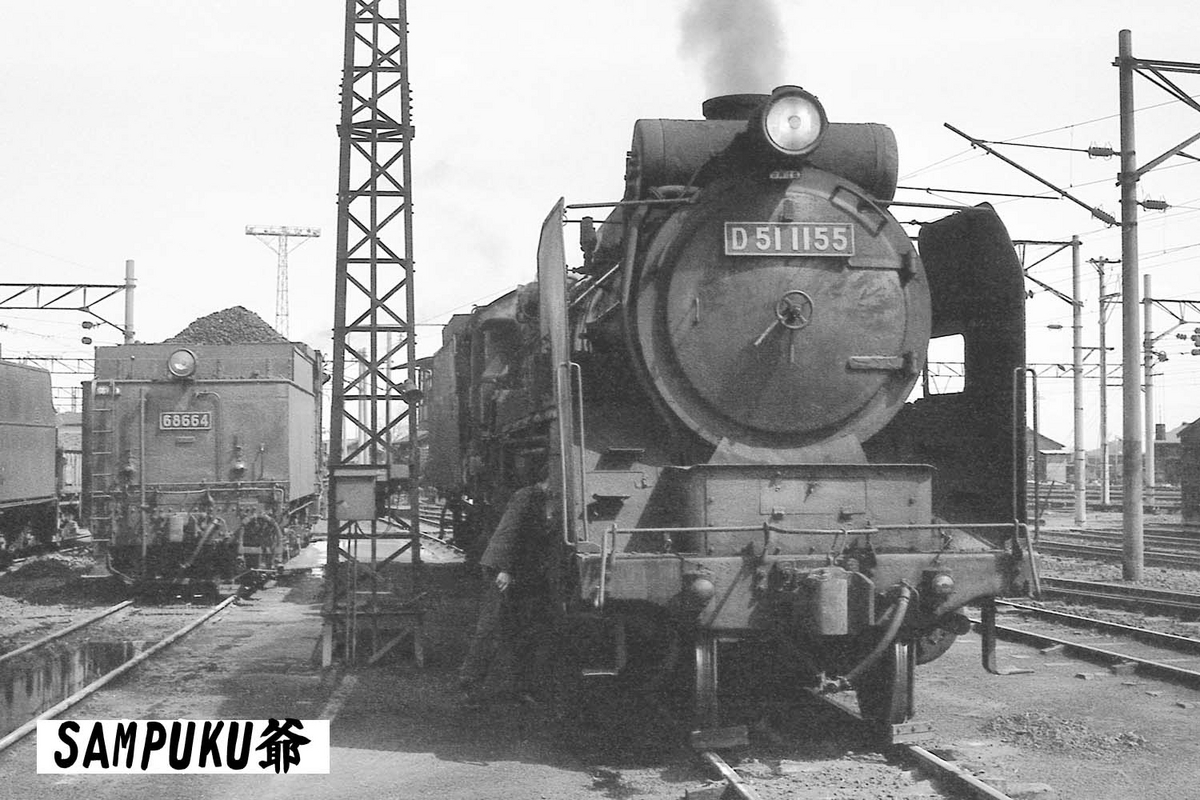 D51 1155 - ただいま鉄道写真スキャン中