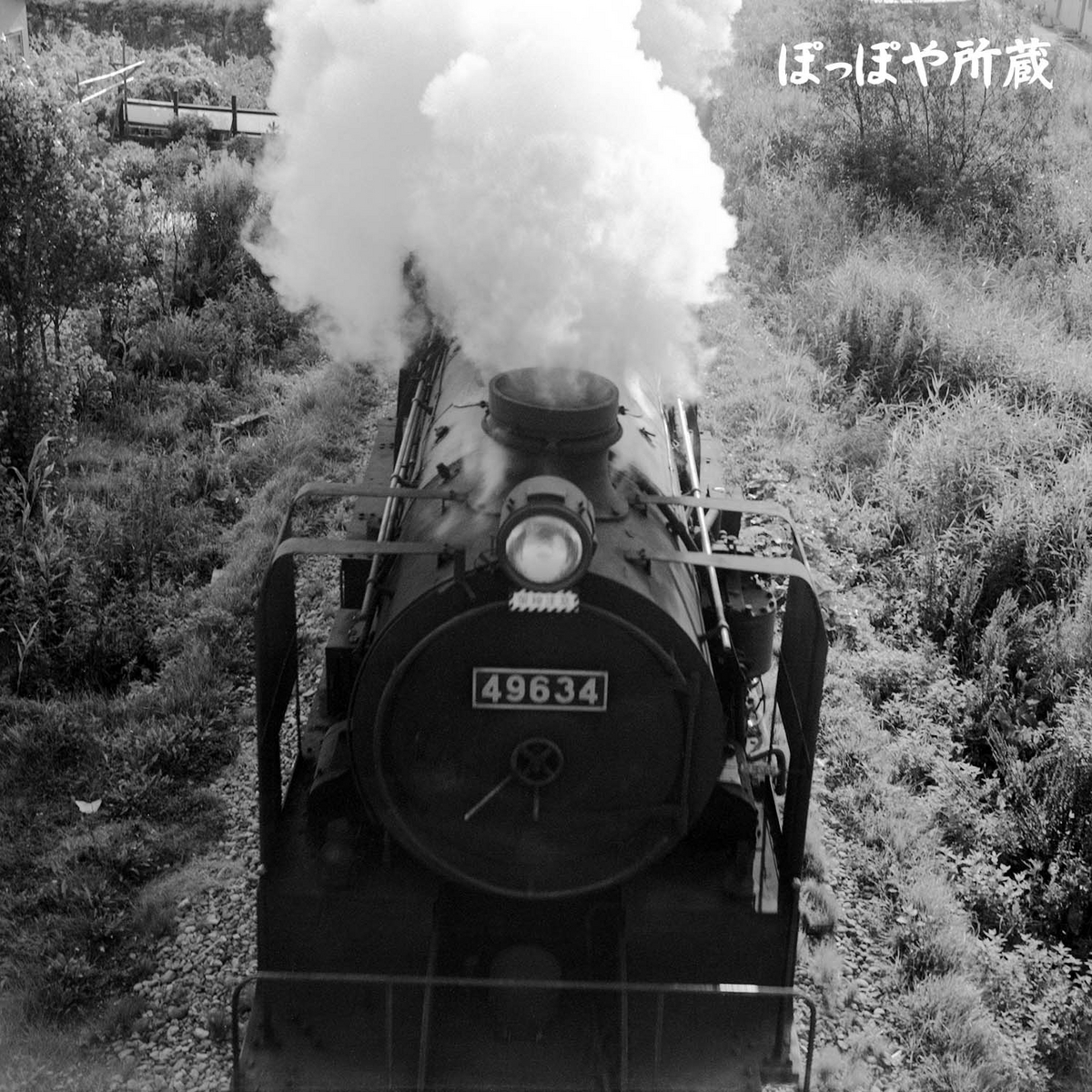 ひがし様2 49634 - ただいま鉄道写真スキャン中