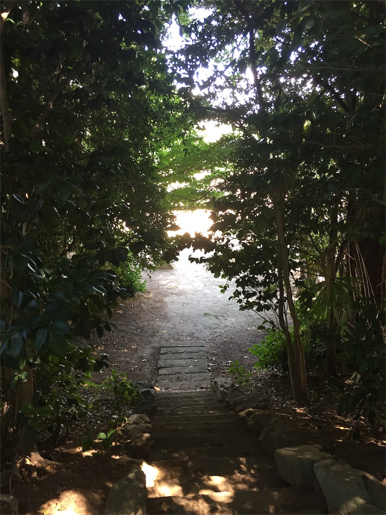 f:id:raimu0714:20170917151604j:image