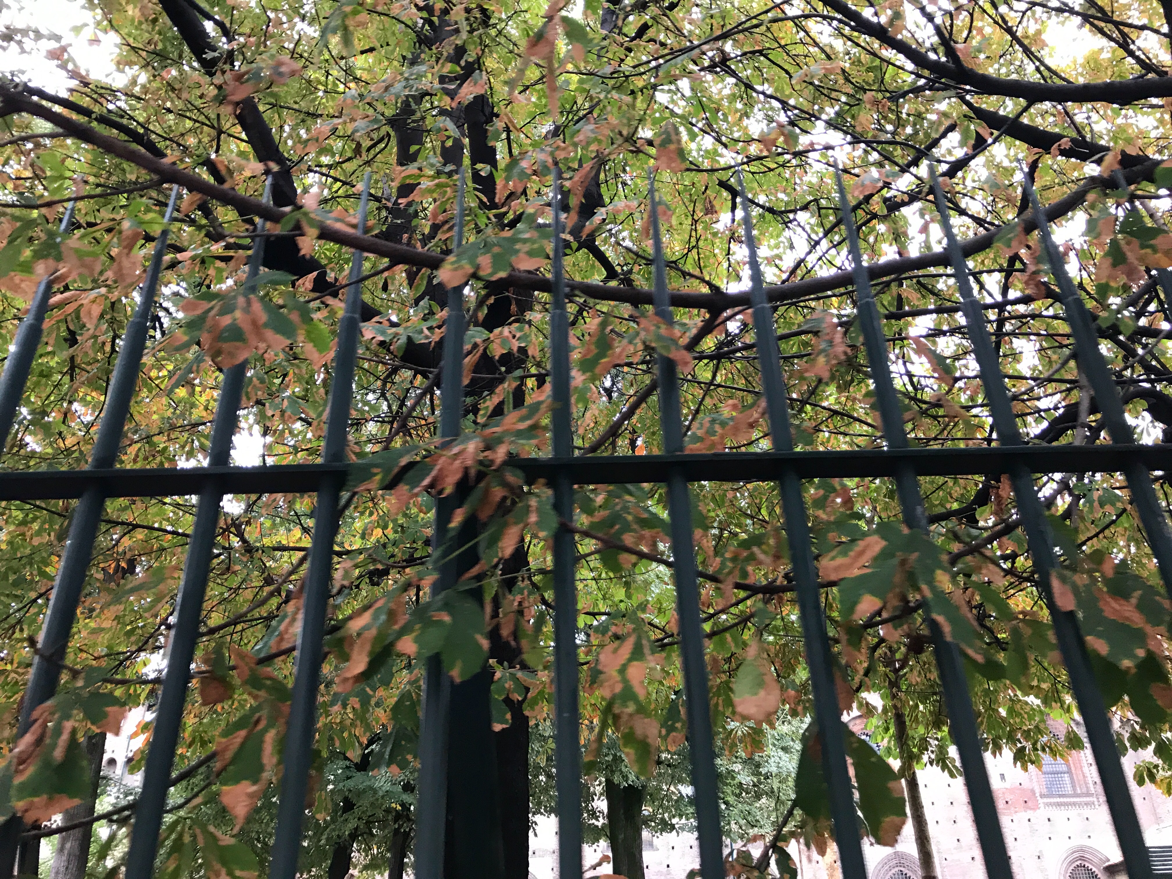 f:id:rain-cascade:20170918211052j:image f:id:rain-cascade:20170918211052j:image