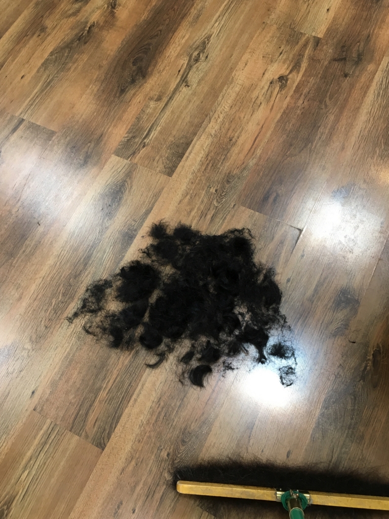 f:id:rainbow-rainbow88812:20170216225337j:plain