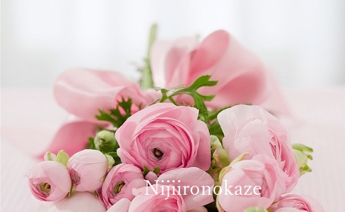 f:id:rainbow-wind:20190120163105j:plain f:id:rainbow-wind:20190120163105j:plain