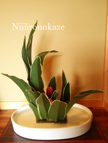 f:id:rainbow-wind:20190131173643p:plain f:id:rainbow-wind:20190131173643p:plain