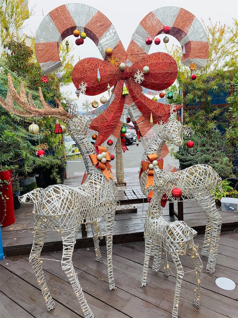 f:id:rainbow0122:20201227161617j:image