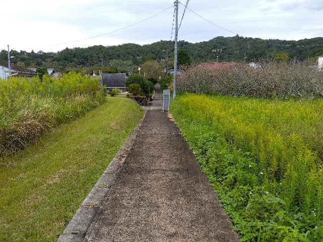 f:id:rainbow_peak:20251010195428j:image f:id:rainbow_peak:20251010195428j:image