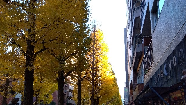 f:id:rainbow_peak:20251211202144j:image