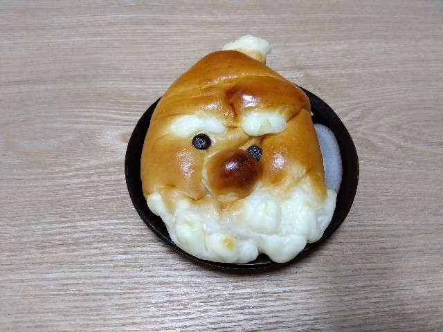 f:id:rainbow_peak:20251226210546j:image