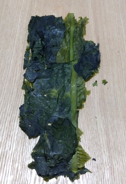 f:id:rainbow_peak:20260112195924j:image