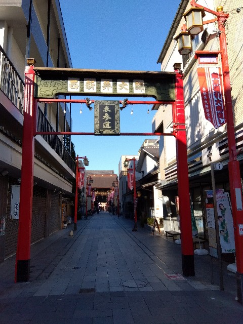 f:id:rainbow_peak:20260113074908j:image