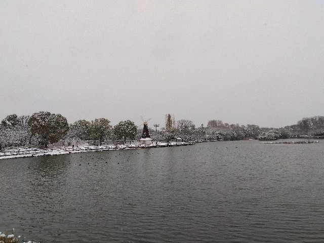 f:id:rainbow_peak:20260208154137j:image