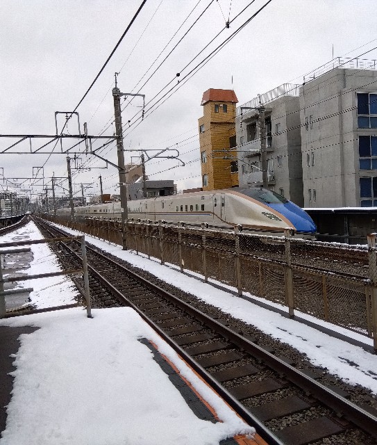 f:id:rainbow_peak:20260208154408j:image