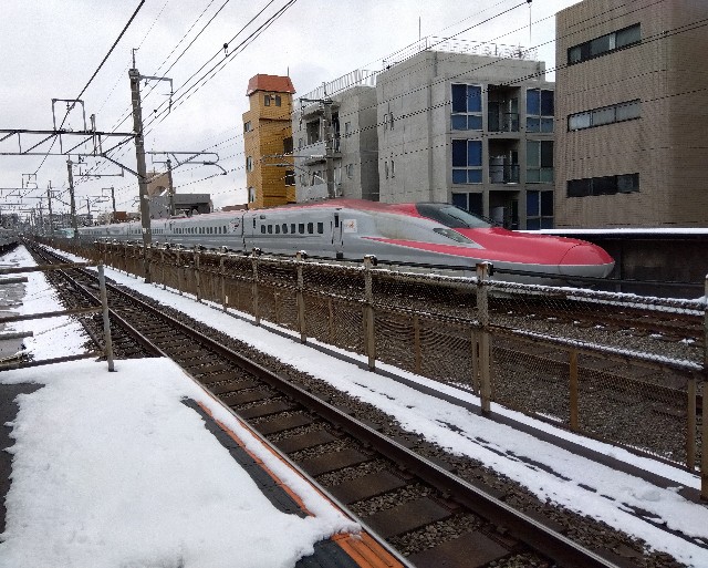 f:id:rainbow_peak:20260208154419j:image