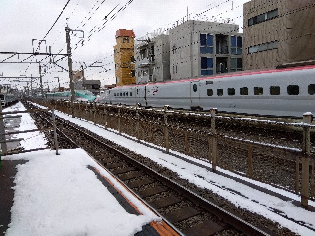 f:id:rainbow_peak:20260208154431j:image