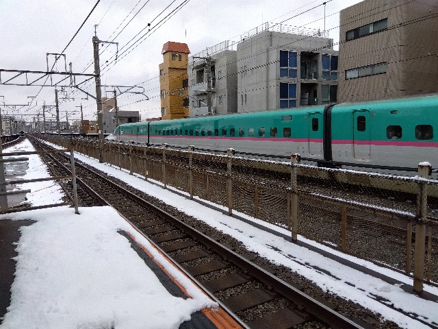 f:id:rainbow_peak:20260208154440j:image