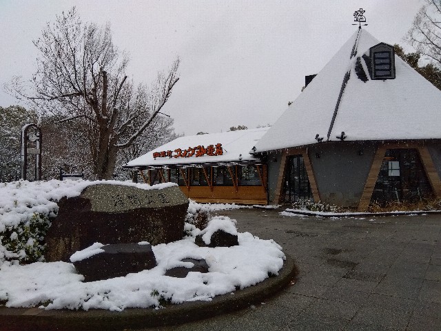 f:id:rainbow_peak:20260208200757j:image