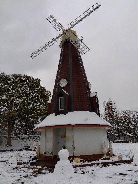 f:id:rainbow_peak:20260208200814j:image