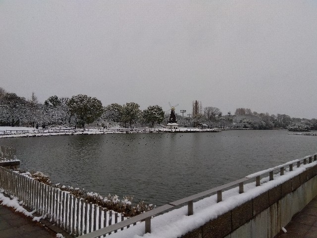 f:id:rainbow_peak:20260208200827j:image