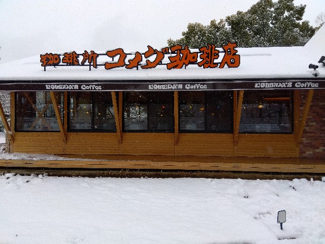 f:id:rainbow_peak:20260208200858j:image
