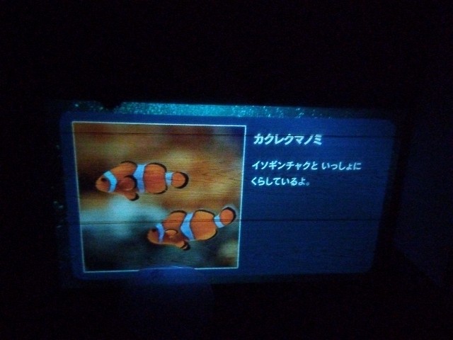 f:id:rainbow_peak:20260301175245j:image