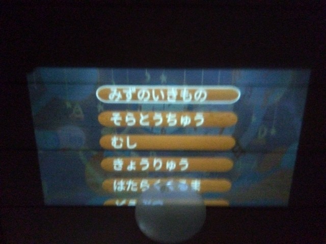 f:id:rainbow_peak:20260301202015j:image