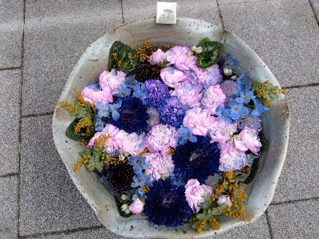 f:id:rainbow_peak:20260307202221j:image