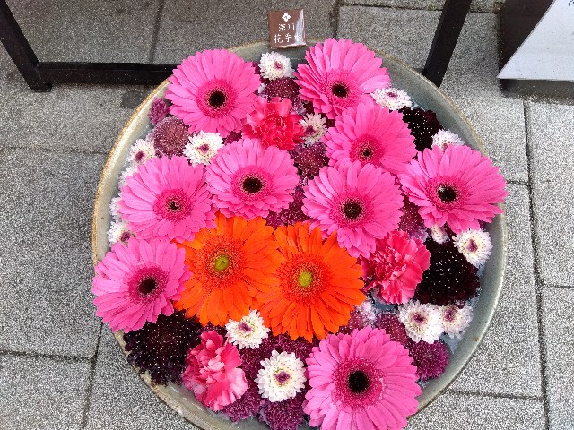 f:id:rainbow_peak:20260307202241j:image