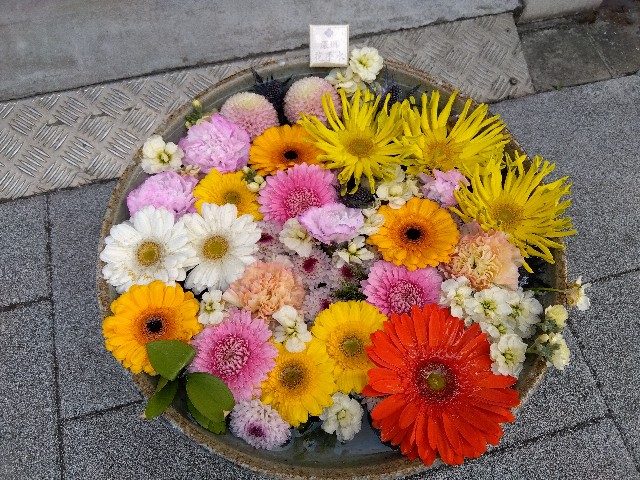 f:id:rainbow_peak:20260307202259j:image