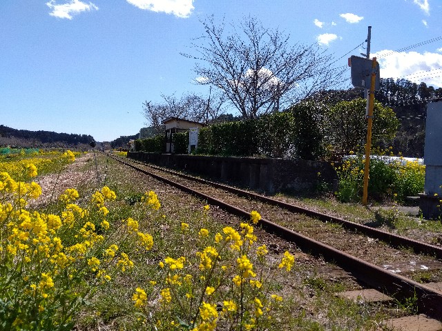 f:id:rainbow_peak:20260319125801j:image