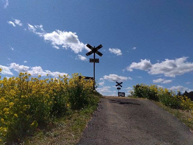 f:id:rainbow_peak:20260319125848j:image