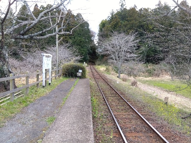 f:id:rainbow_peak:20260320125718j:image