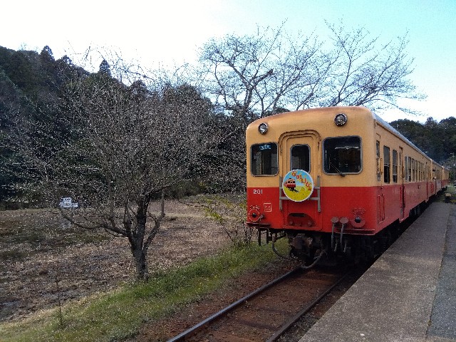 f:id:rainbow_peak:20260320125823j:image