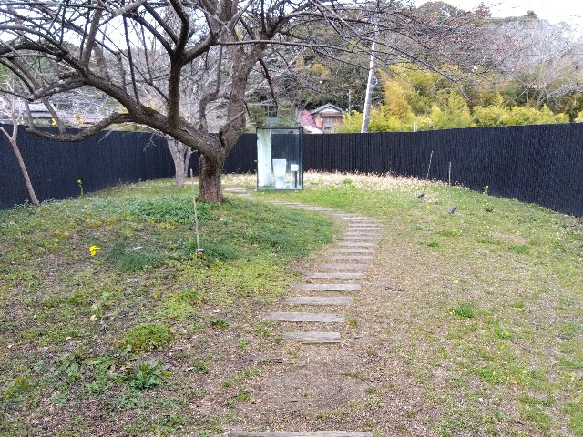 f:id:rainbow_peak:20260320193450j:image