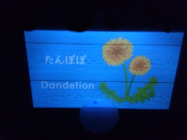 f:id:rainbow_peak:20260402190825j:image