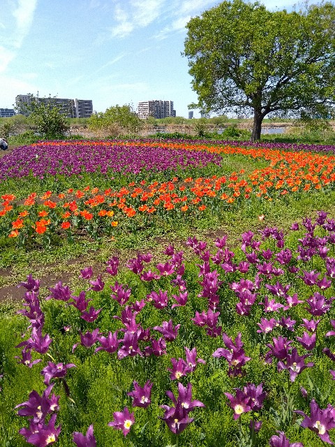 f:id:rainbow_peak:20260415201247j:image f:id:rainbow_peak:20260415201247j:image