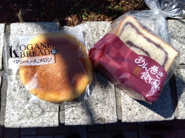 f:id:rainbow_peak:20260416194810j:image
