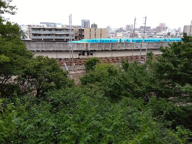 f:id:rainbow_peak:20260616191938j:image f:id:rainbow_peak:20260616191938j:image